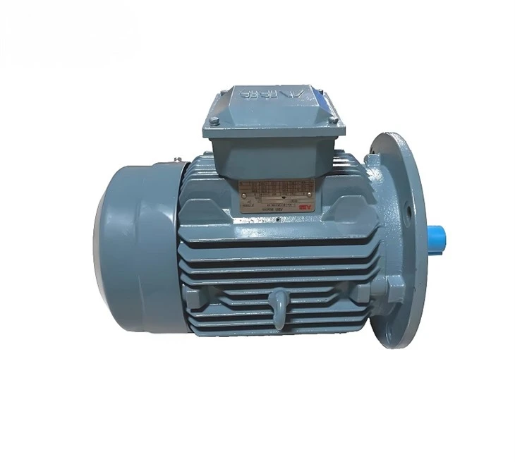 MARINE ELECTRIC MOTOR